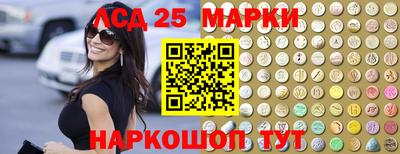 стаф Гай