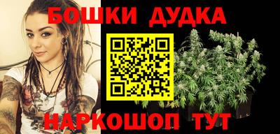 стаф Гай