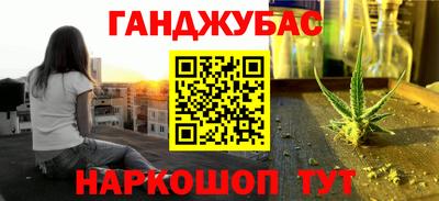 стаф Гай
