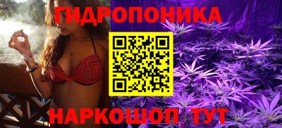 стаф Гай