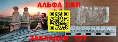 стаф Гай