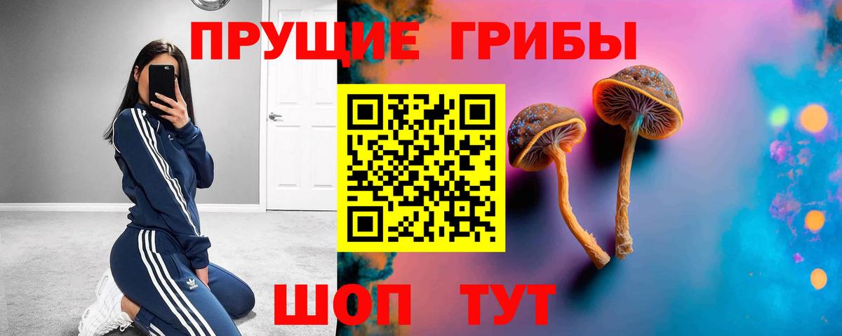 Псилоцибиновые грибы Cubensis  Псилоцибиновые грибы мухоморы  Тутаев  Вход с VPN 